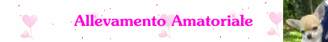 allevamento amatoriale