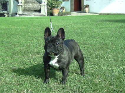 Matilda